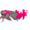 イダイトウ♂の画像
