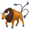 ケンタロスの画像
